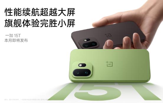 һ�� 15T ȫ��˫ɫ�������࣬��խ�ĵȱ�ˢ��С����ֵ�컨��